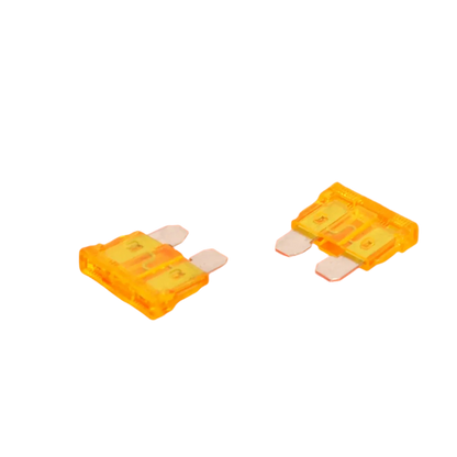 Standard Blade Fuses