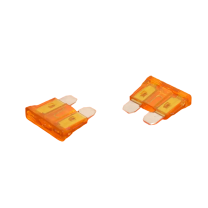Standard Blade Fuses
